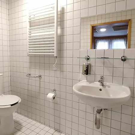 בית הארחה U Rybnika 3*