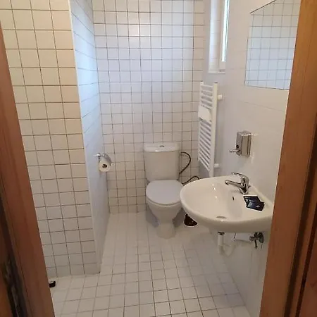 Guest house Penzion U Rybnika Marianska