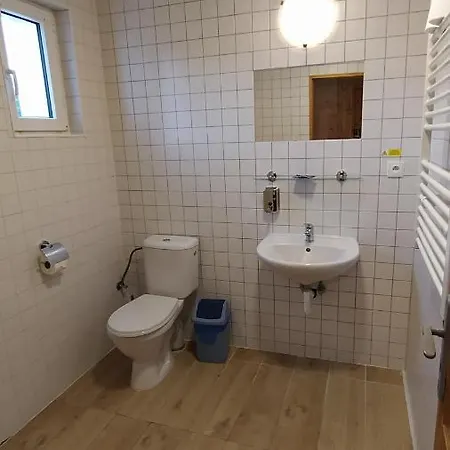 Penzion U Rybnika Guest house *
