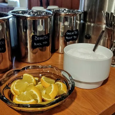 Konukevi U Rybnika 3*