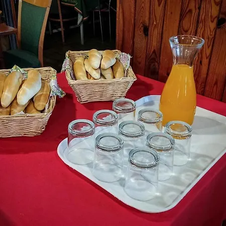 Penzion U Rybnika Guest house