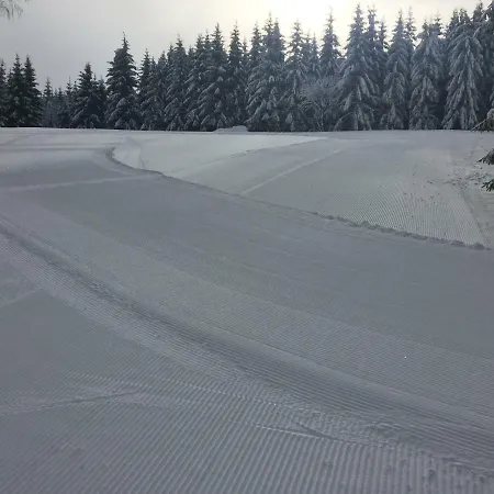 בית הארחה U Rybnika 3*