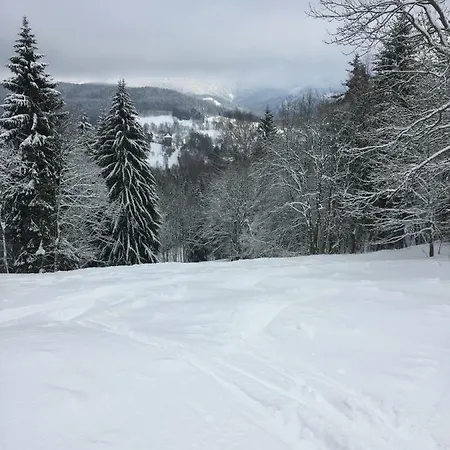 Penzion U Rybnika Guest house Marianska