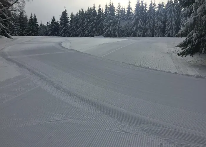 Penzion U Rybníka 3*