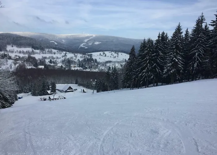 U Rybníka Penzion 3*