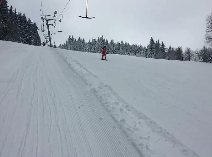 Penzion U Rybníka